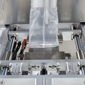 פירוט מכונת אריזת שקיות נוזל - תבנית איטום